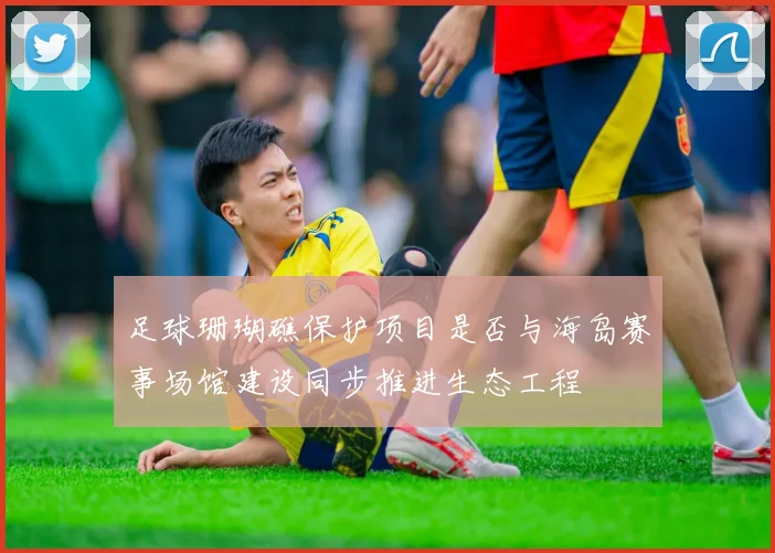 足球珊瑚礁保护项目是否与海岛赛事场馆建设同步推进生态工程