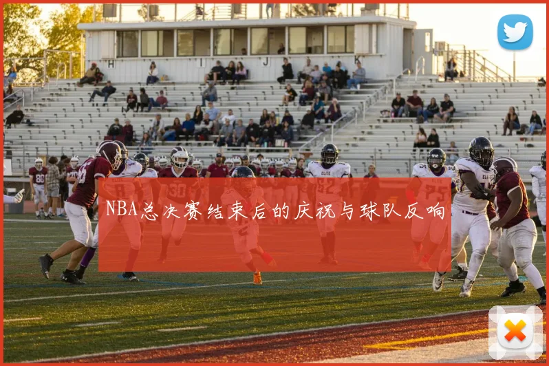 NBA总决赛结束后的庆祝与球队反响