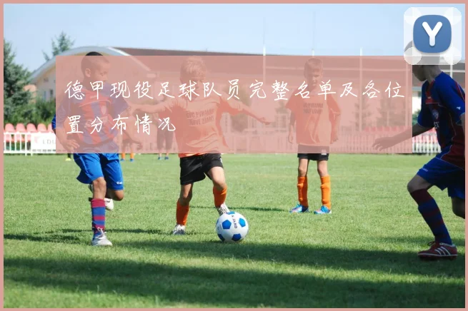 德甲现役足球队员完整名单及各位置分布情况