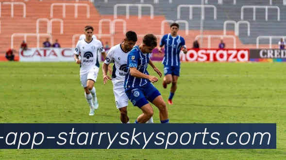 星空体育平台生态图